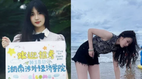 湖南涉外学院双瓜